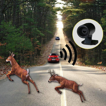 Animal Driving Warning Device